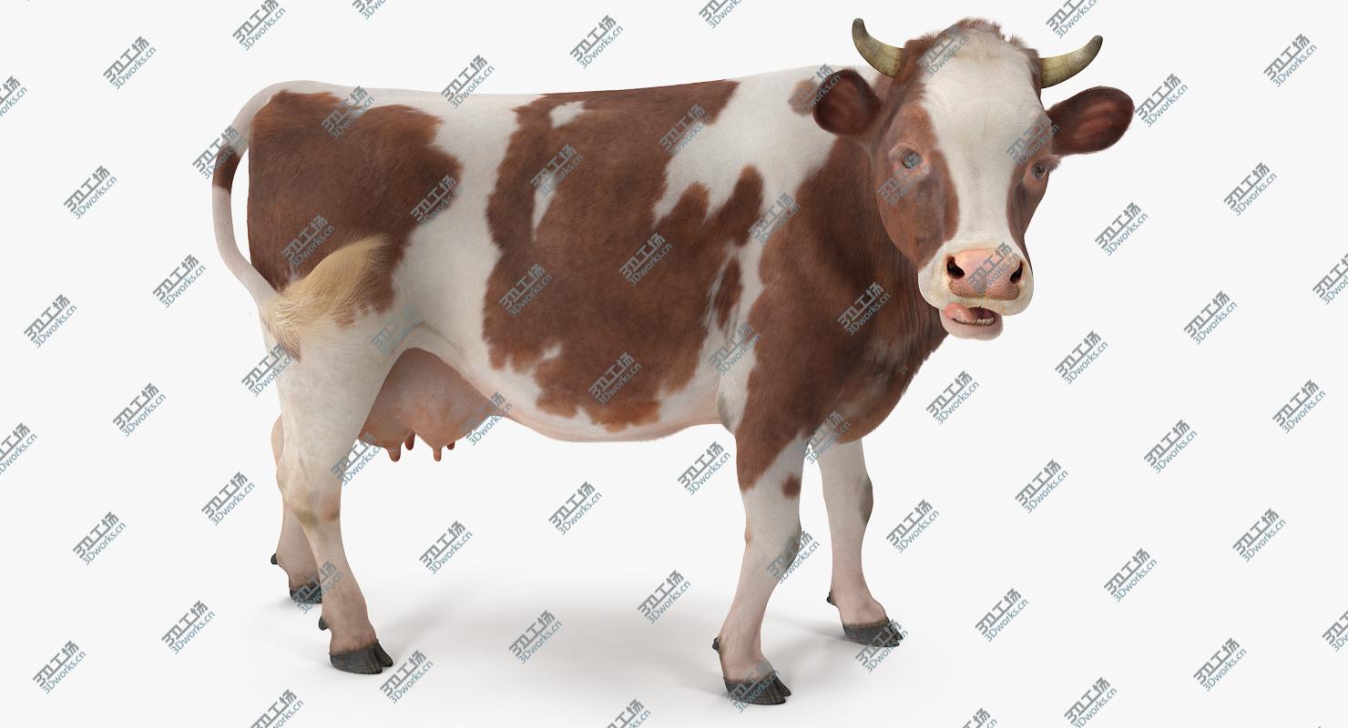 images/goods_img/2021040161/3D Cow with Fur Rigged/2.jpg